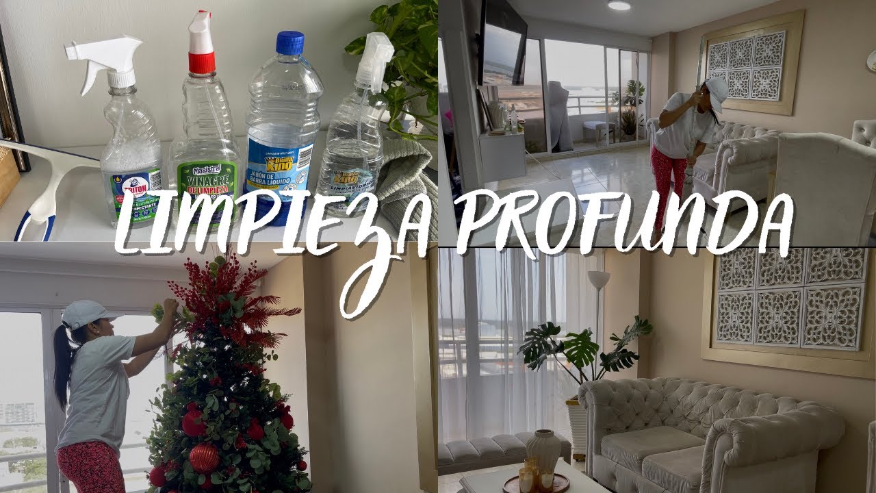 MOTIVATE A LIMPIAR|LIMPIEZA PROFUNDA|PRODUCTOS FAVORITOS DE ASEO#dollarcity #tiendasd1 #tiendasara