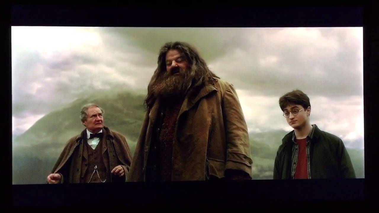 Harry Potter on Felix felicis - Harry Potter and the Half-Blood Prince