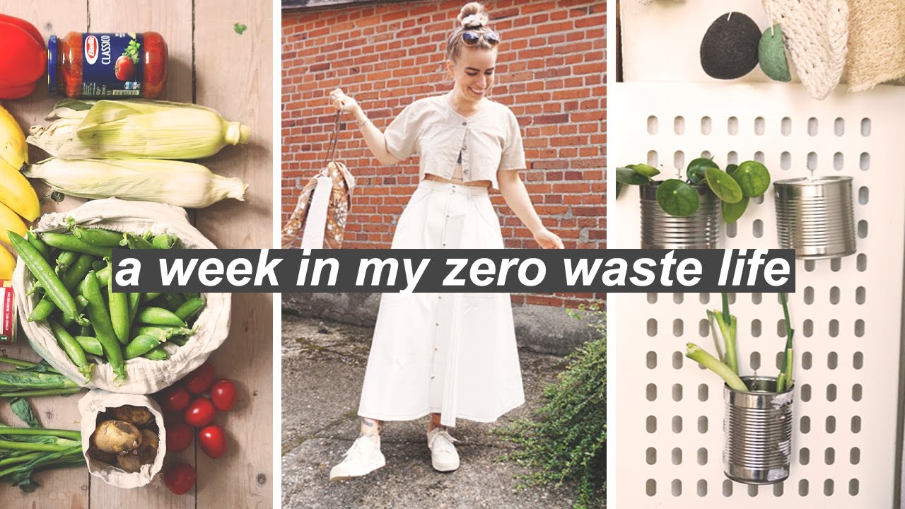 A WEEK IN MY ZERO WASTE LIFE // regrowing veg, fun diys & cleaning my street