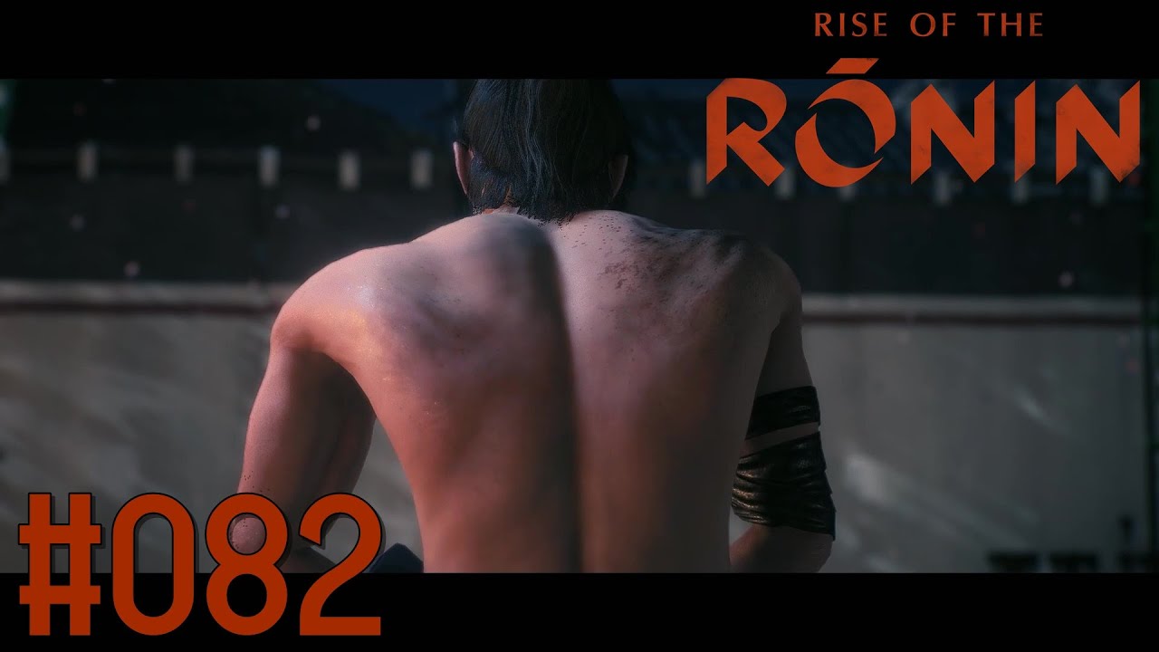 Verschiedene Meinungen - Rise of the Ronin - 