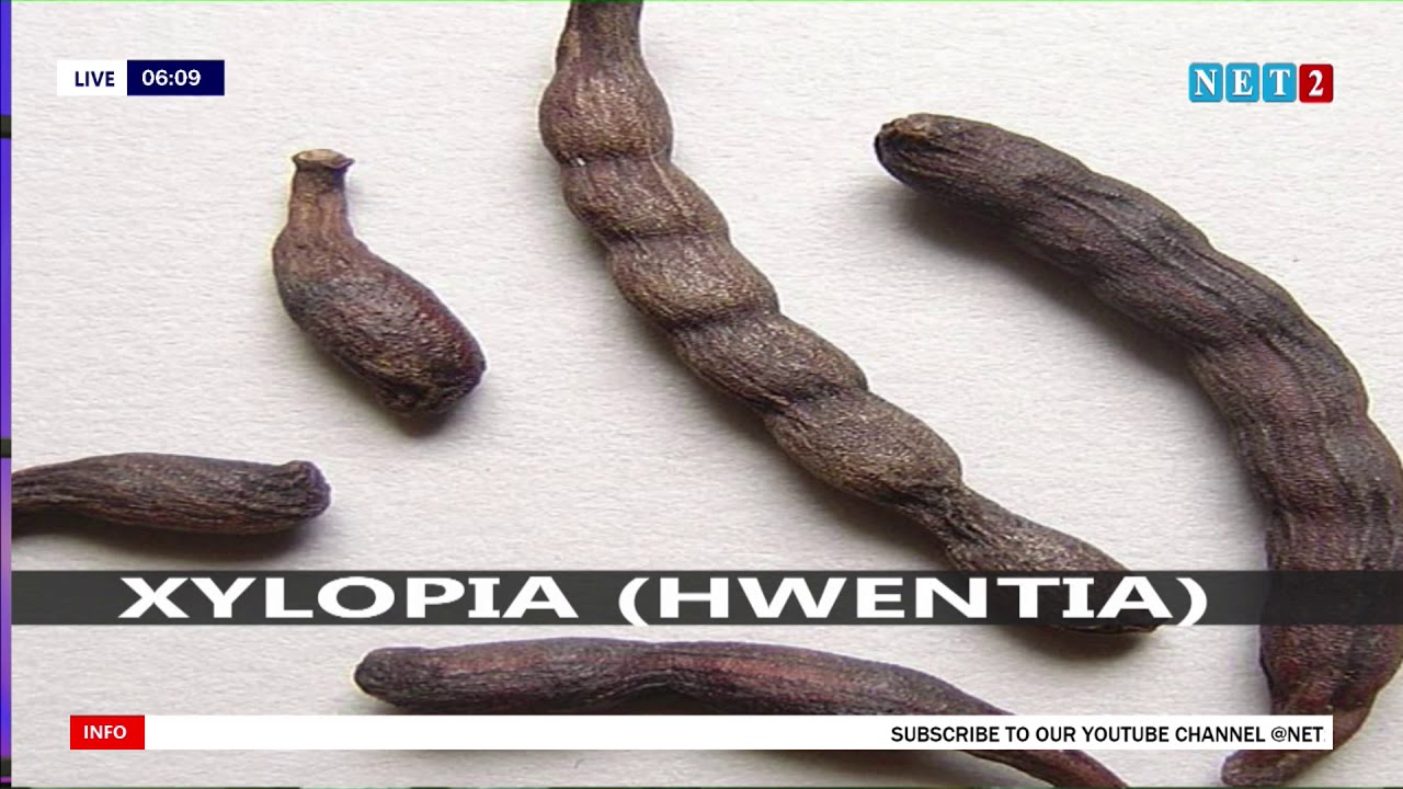 NANA OHENEBA NTIM BARIMA SPEAKS ON THE BENEFITS OF XYLOPIA (HWENTIA) ON SECRETS OF HEALTH