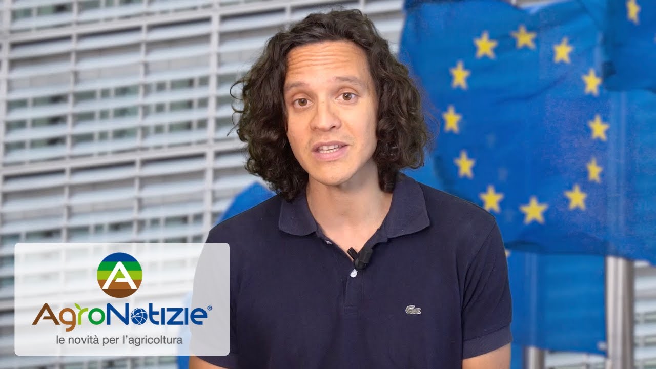 La Pac spiegata in cinque minuti