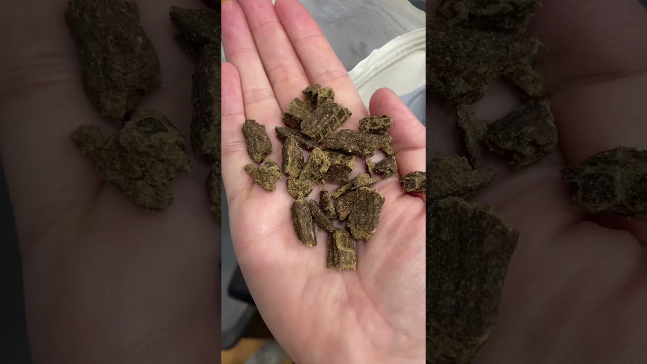 TASTE TEST: Badlands Ranch Superfood Dog Food #badlandsranch #dogfoodreview