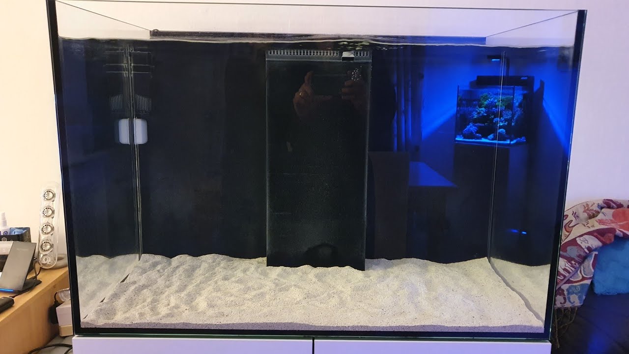 Reef Tank Update | Adding Live Sand.