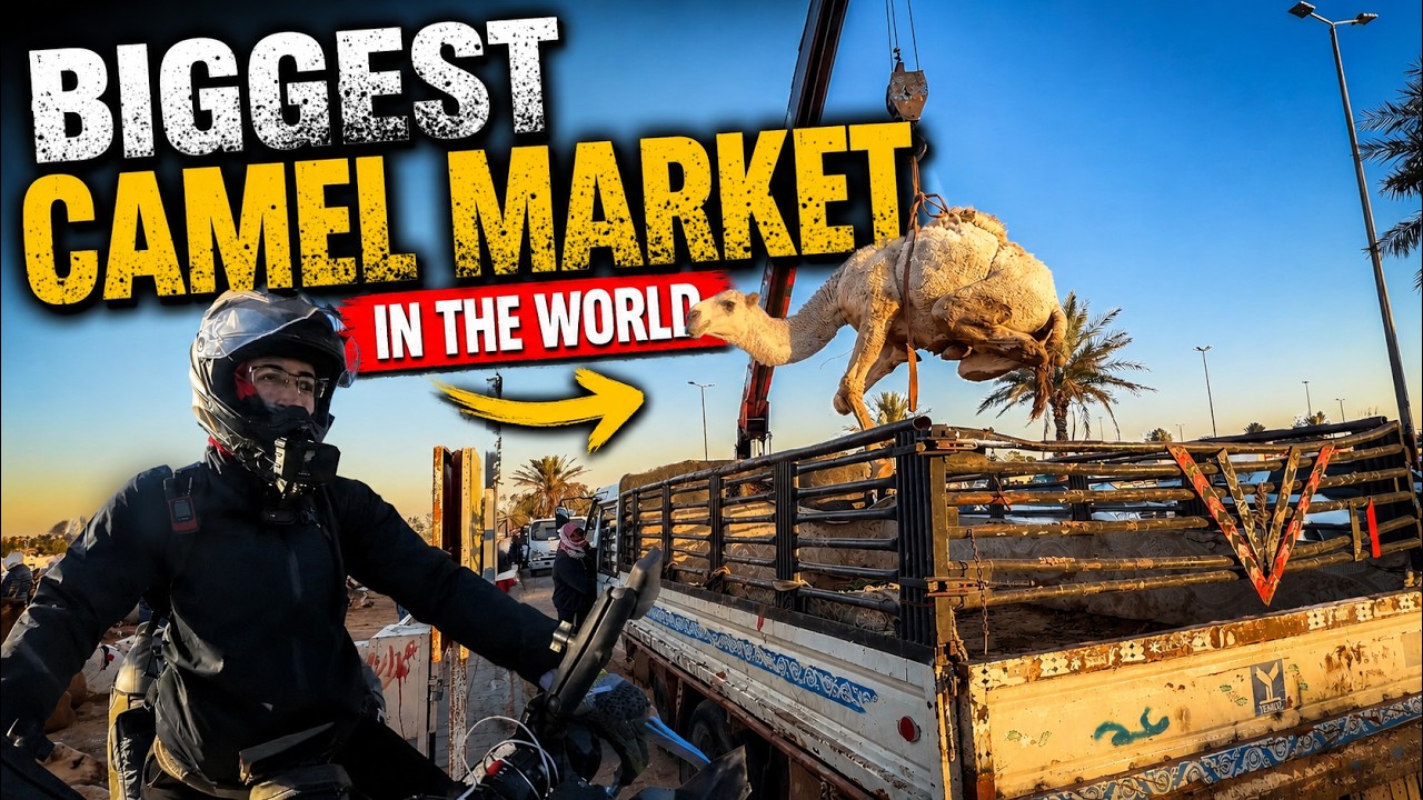 Inside the Biggest Camel Market in the World (Saudi Arabia 🇸🇦) S2Ep64