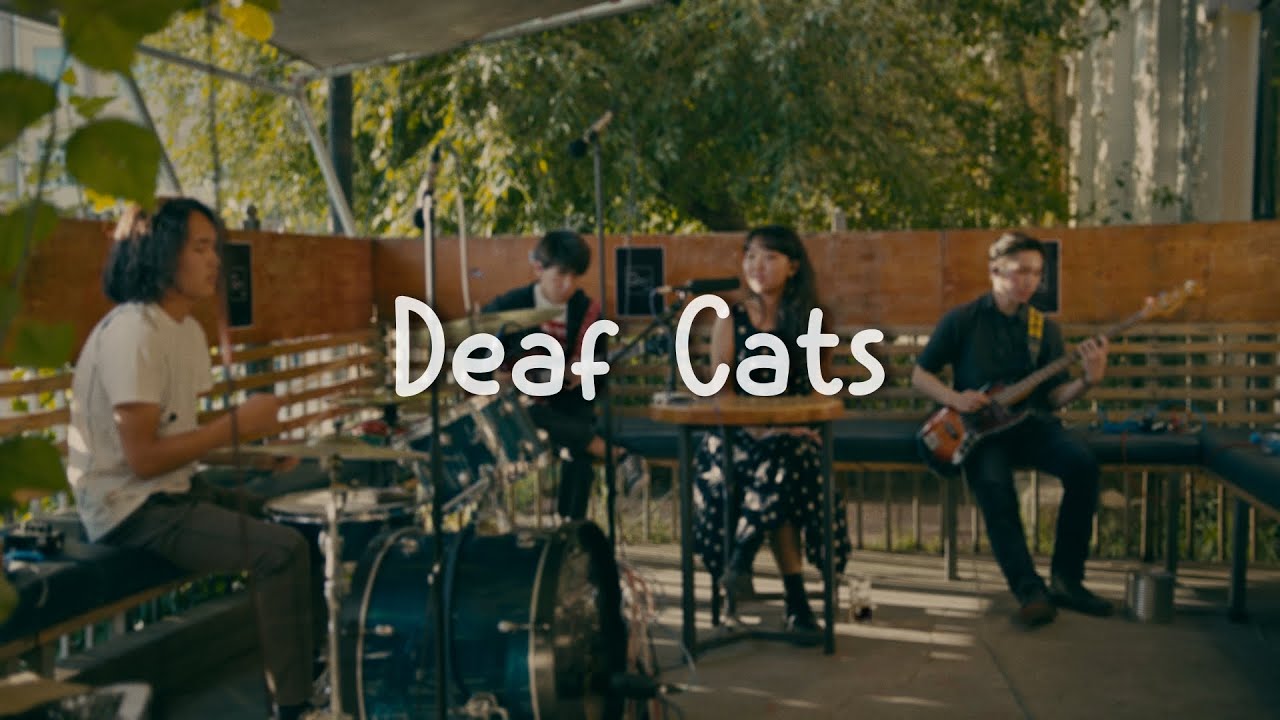 Deaf Cats - Ambient Room | Live Session