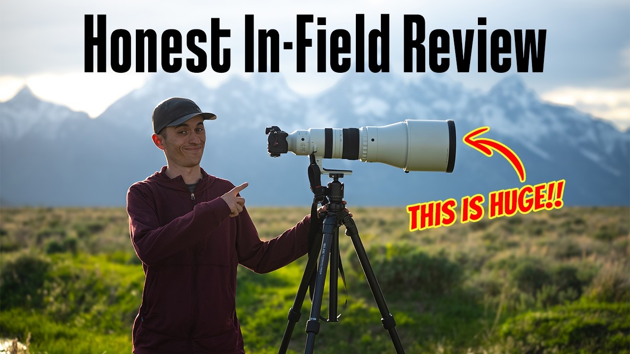 Sigma 300-600mm f/4: GREAT Lens with TWO Problems...