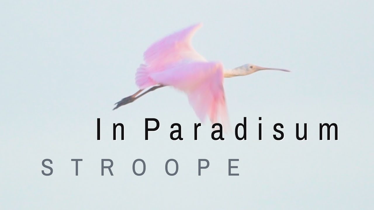 IN PARADISUM (new 6-mvt work for Choir/small Chamber Orchestra)