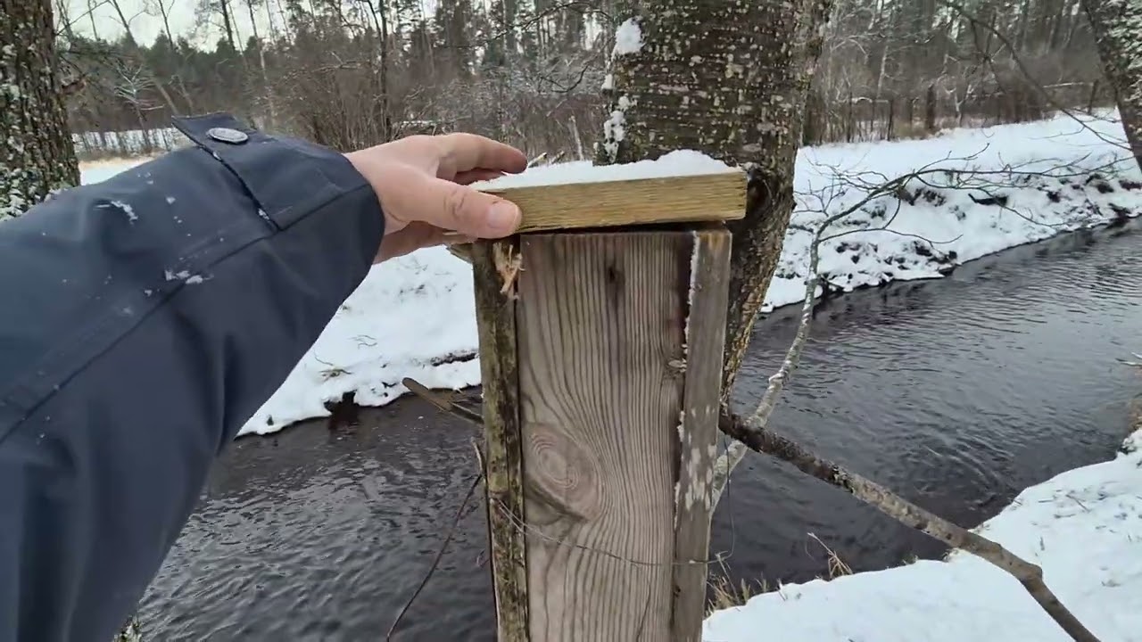 Зимнее кормление птиц