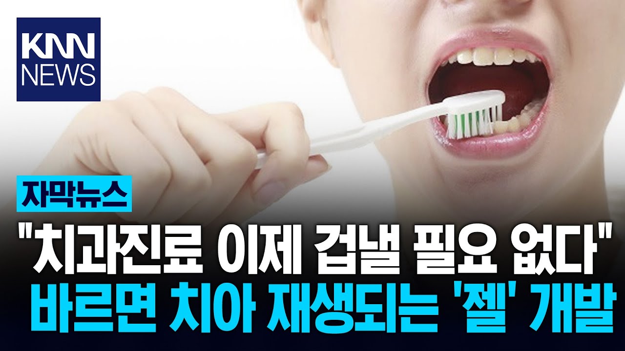 바르기만 하면 치료 끝? 치아 재생에 '획기적' 젤 개발/ KNN
