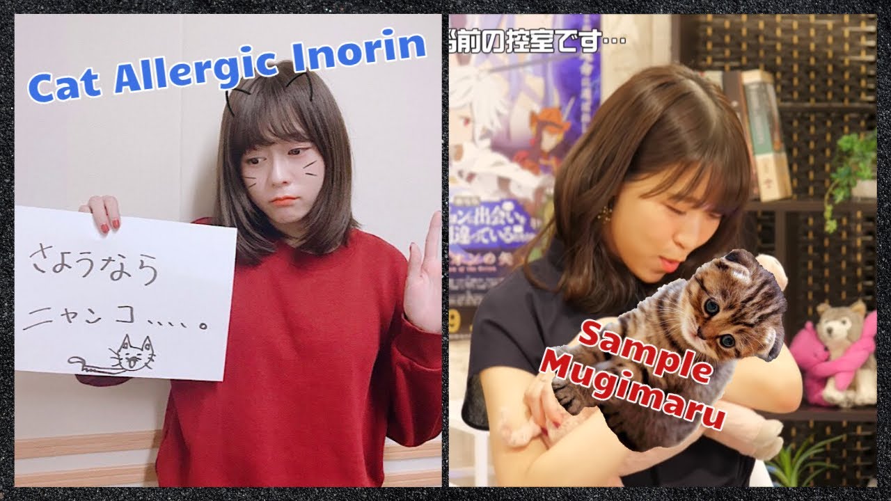 Cat Allergic Minase Inori meets Mugimaru, Ōnishi Saori's Cat [Eng Sub]