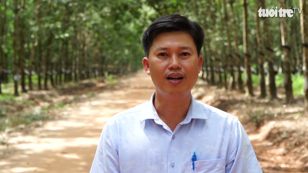 Cao su trên đất bạn Campuchia: Có sức người sỏi đá cũng thành cơm…