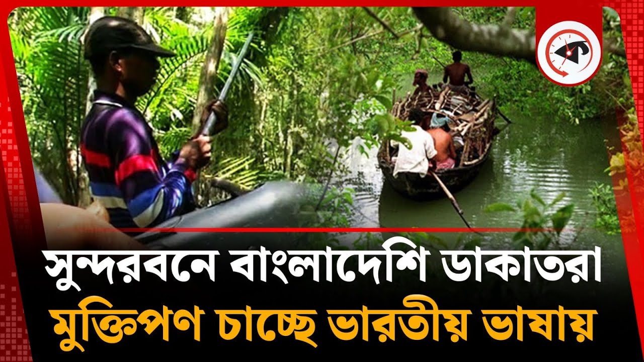 সুন্দরবনে ফের দস্যুতা, বাংলাদেশি ডাকা'তরা কথা বলছে ভারতীয় ভাষায় | Sundarban Pirate | Mongla