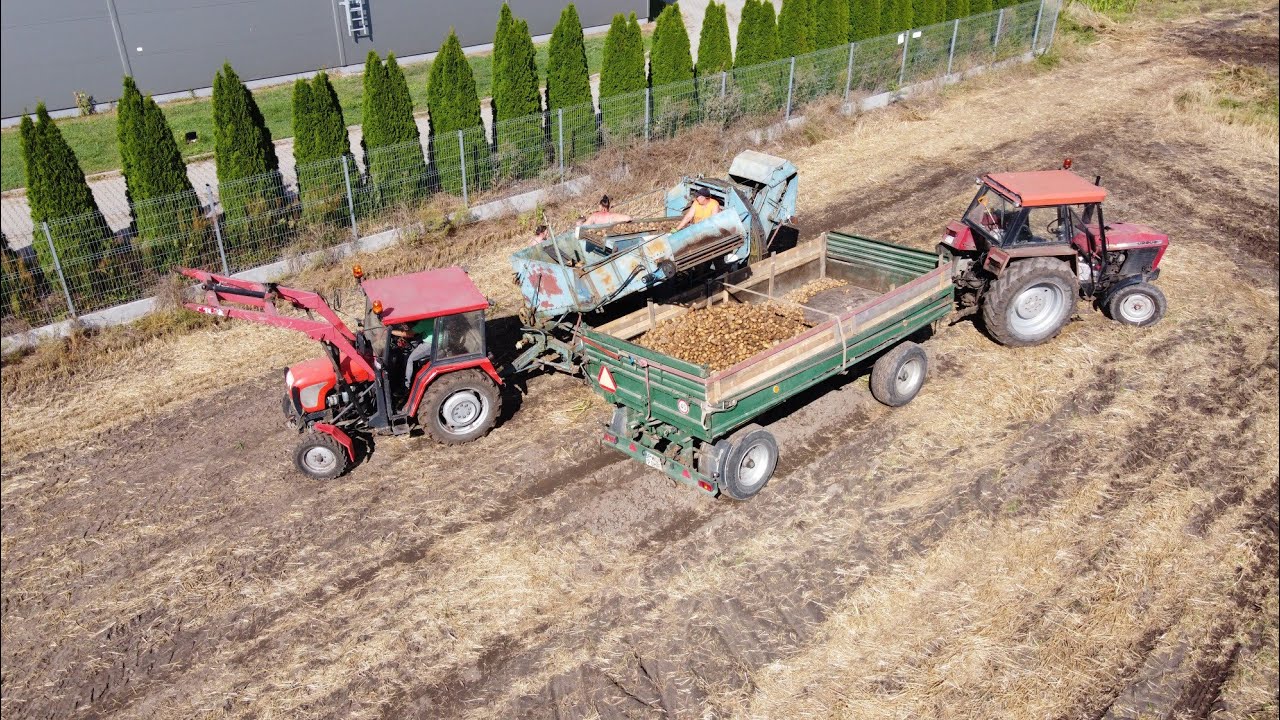 Kopanie Ziemniaków 🥔 Ciężkich warunkach?! Ania pod ramę?!!!