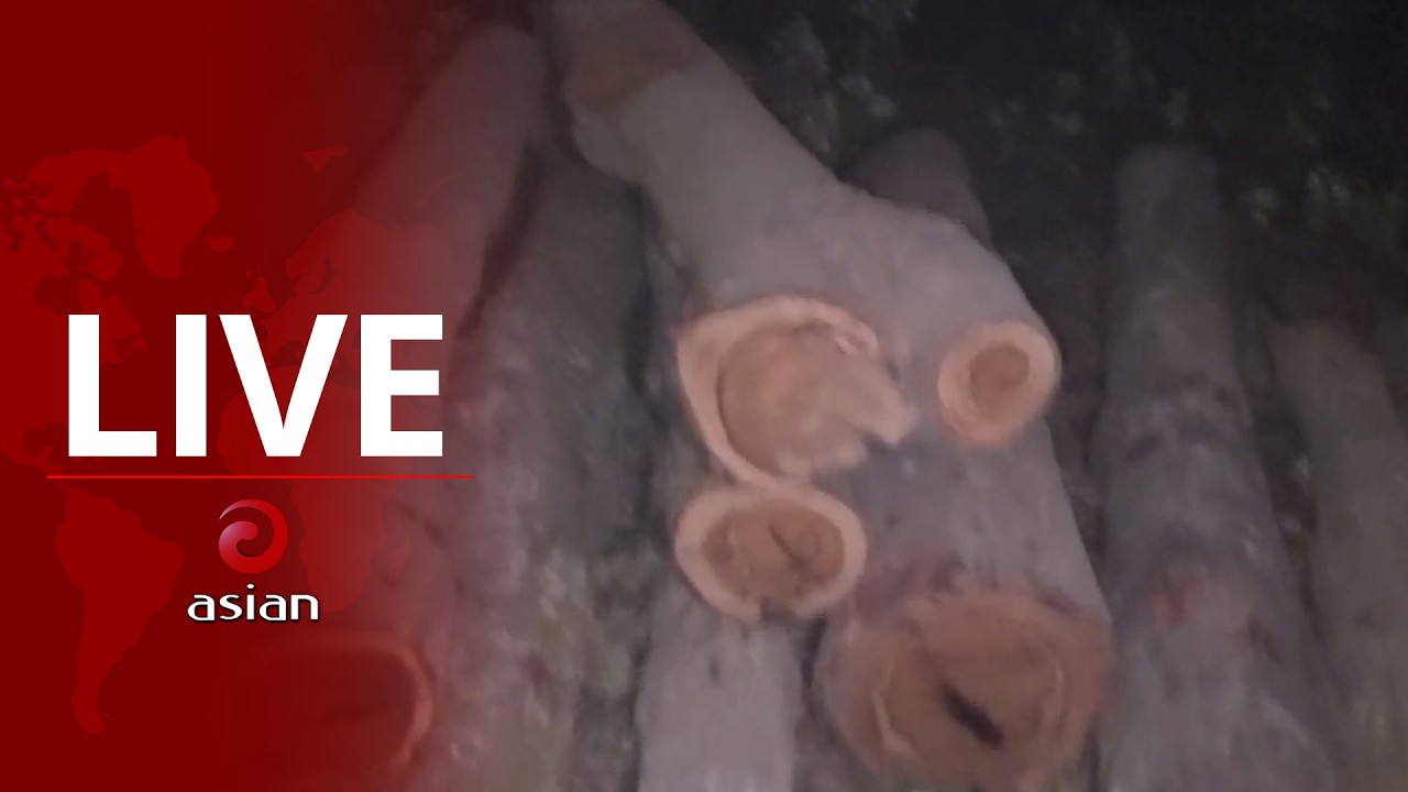 Live: শ্রীপুরে শালবন ধ্বংসের মহোৎসব, এলাকাবাসীর হাতে ধরা পড়ল পাচার করা কাঠ
