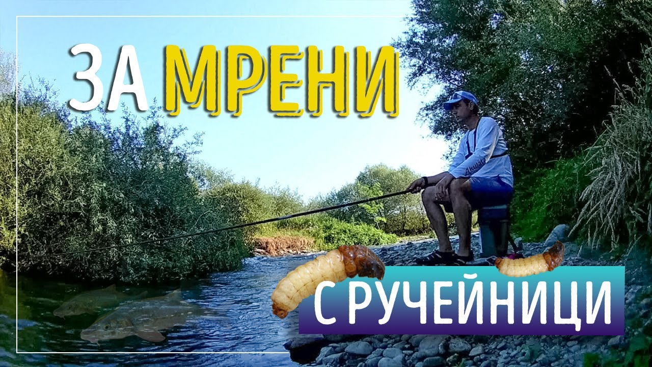 За мрени с ручейници. Трофейна риба. Речен релакс