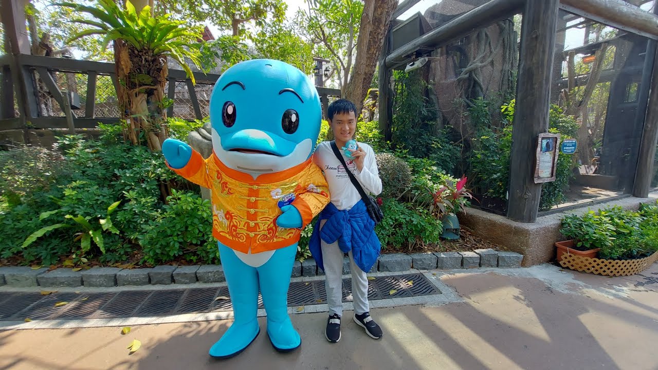 (🧧上個禮拜二新春巡遊睇電視見到今次終於現場見🧧)靚仔新春華服版樽樽年初五喺海洋公園同我會面