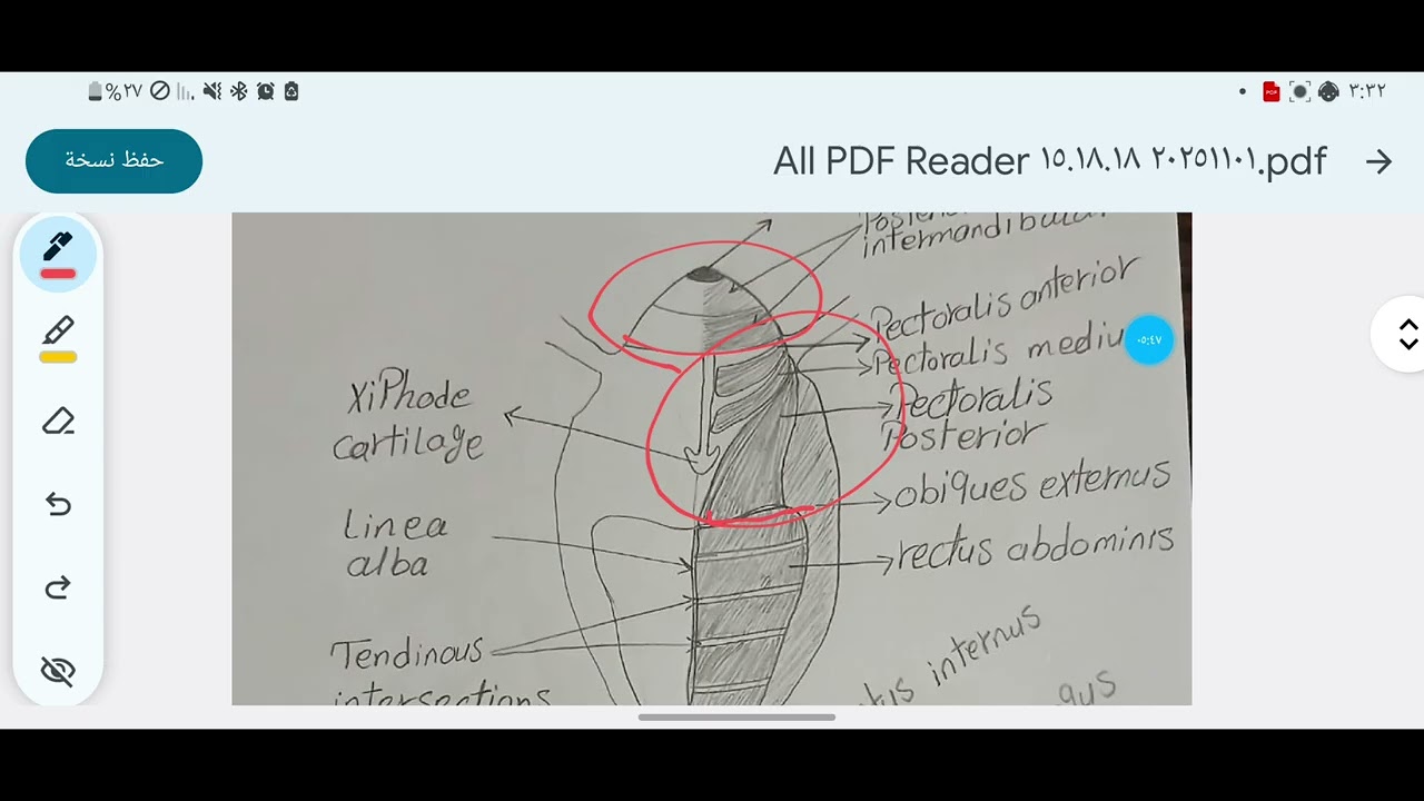 🔬 شرح الـضفدعة الجزء الأول External Features General viscera Urogenital & Genus Proper System 