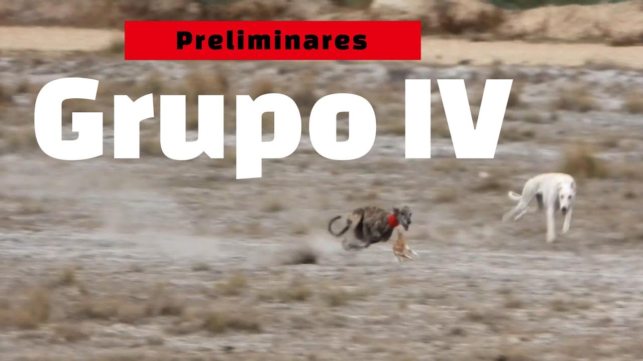 Dieciseisavos del grupo IV Mixto, 15 de Noviembre 2025