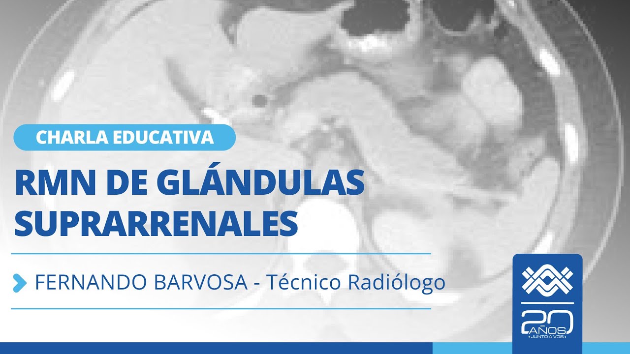 RMN de Glándulas Suprarrenales | Anatomía y Protocolo de Estudio en la Práctica Diaria