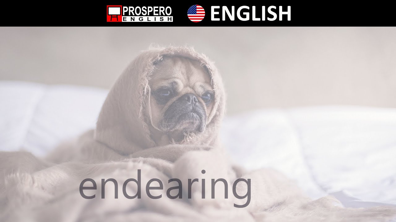 English Vocabulary &ndash; ENDEARING