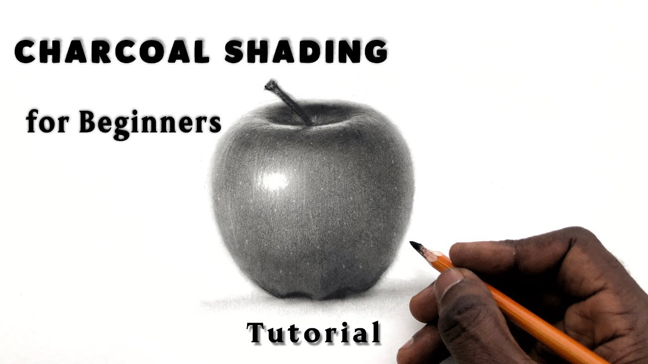 How to shade with charcoal powder for beginners | Tutorial | No timelapse