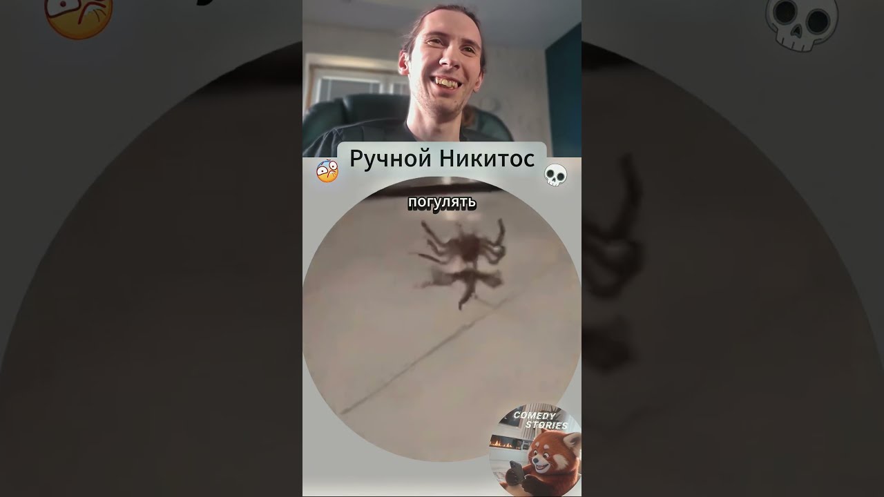 🕷️Никитос | №47 #юмор #смешно #мем #trynottolaugh #прикол #юмор