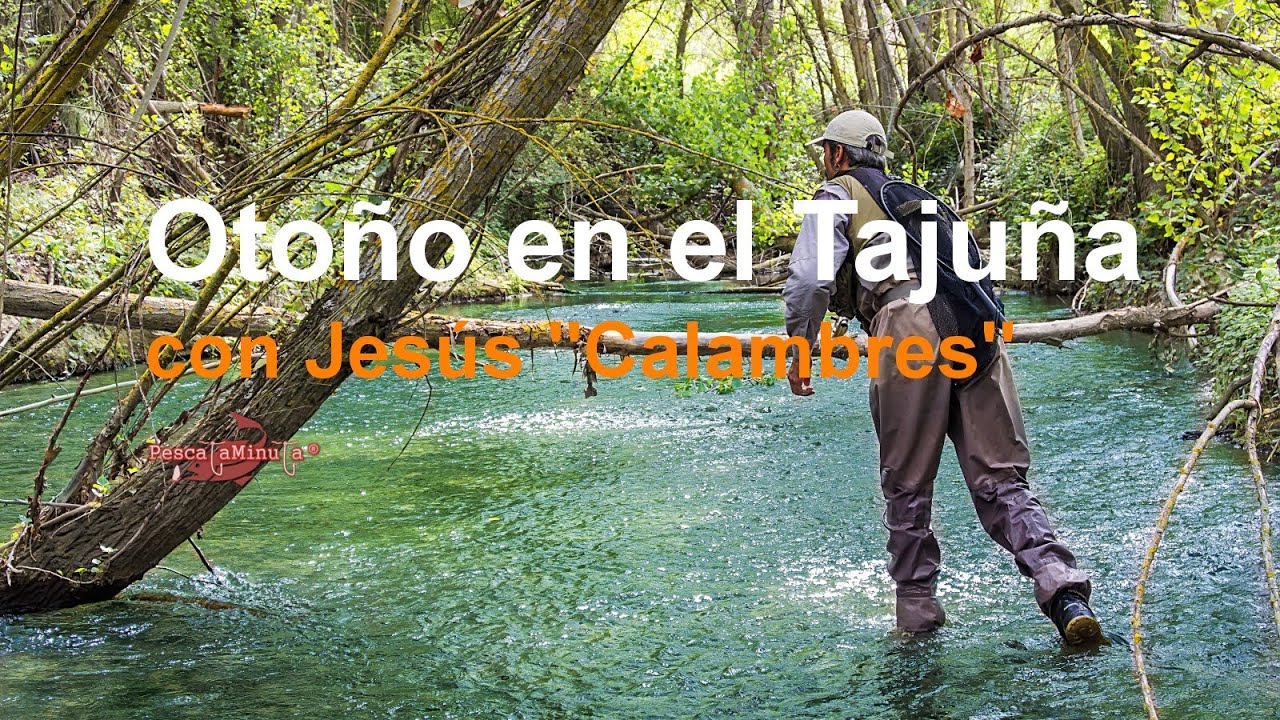 Otoño en el Tajuña