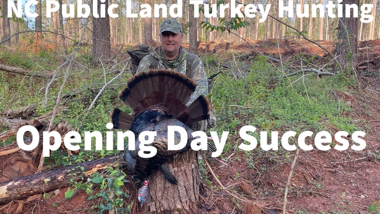 NC Public Land Turkey Hunting