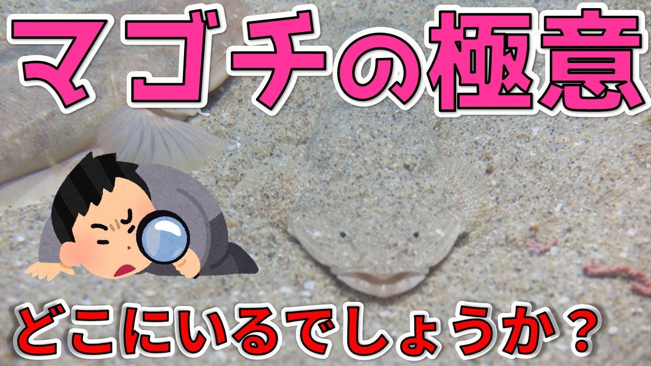 【マゴチの極意】夏本番！初心者が知っておくべき基本とコツ14選