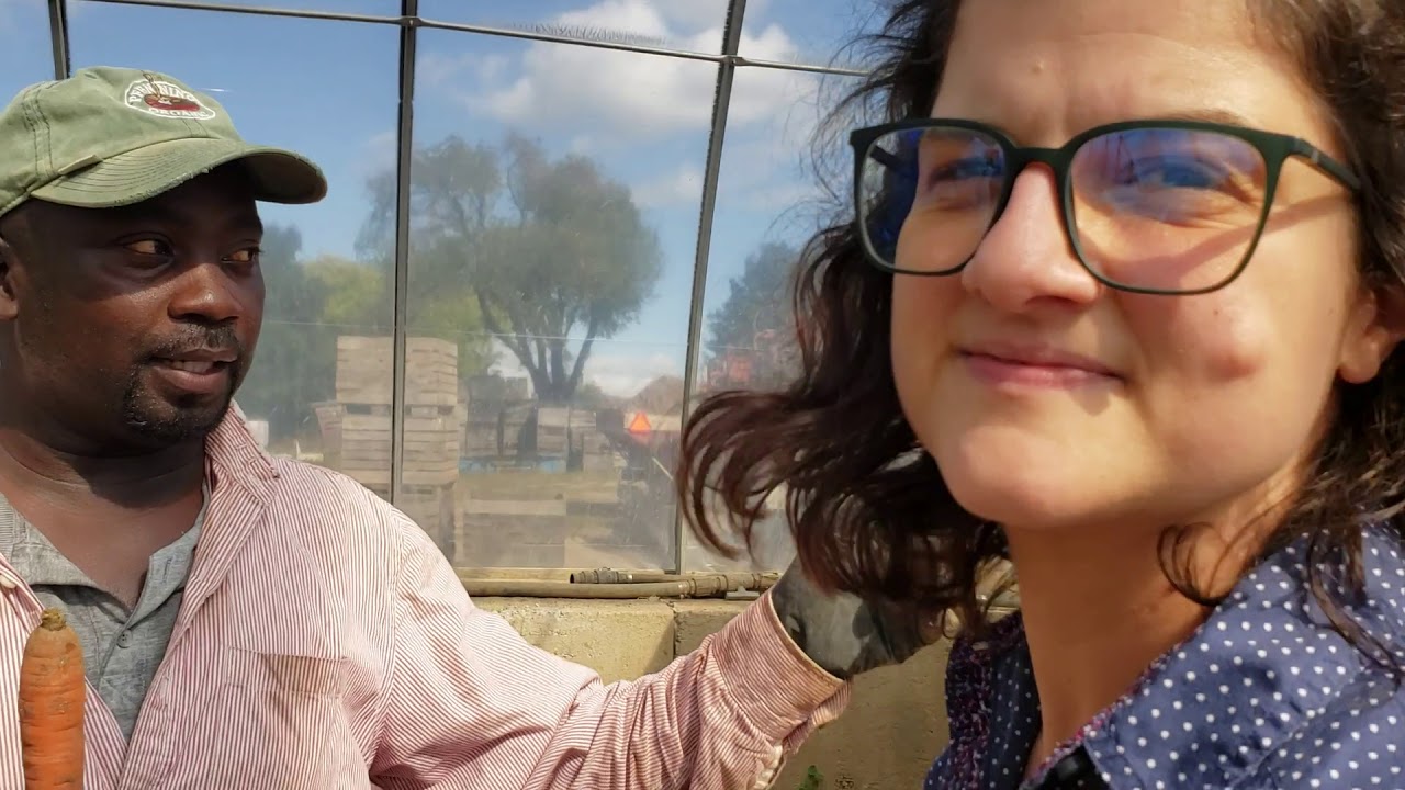 It's Carrot Season!  Carrot talk with Grant, Lauren & Paul.