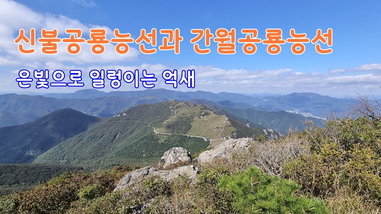신불산 공룡능선과 간월산 공룡능선... 은빛으로 일렁이는 억새는 덤이었다.