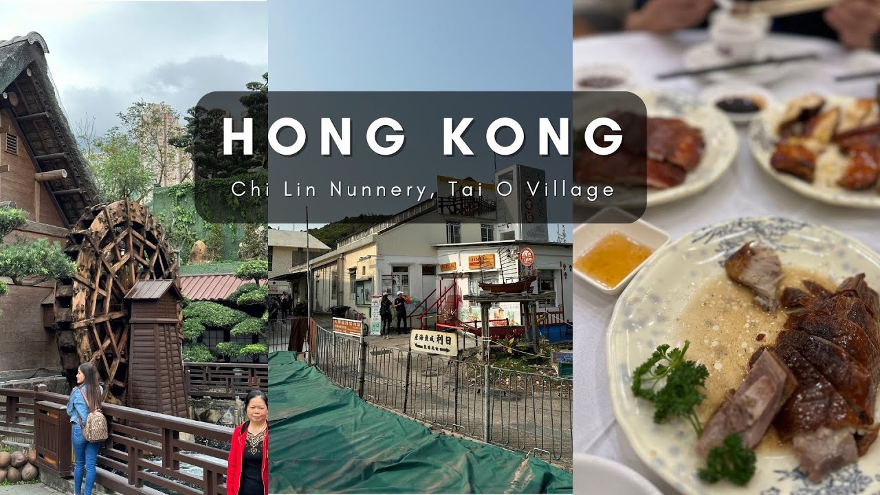 Hong Kong travel vlog 2 🇭🇰 Tai O Fishing Village, Chi Lin Nunnery, Shopping Mall hopping