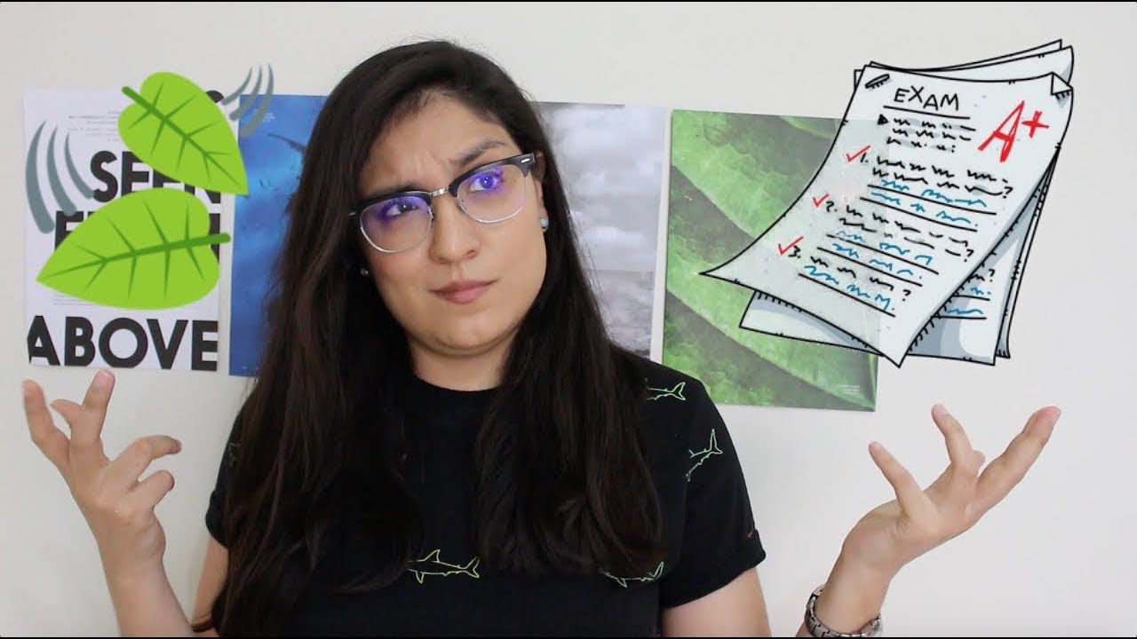 ¿Cómo estudiar para tus exámenes? 📝  Biología