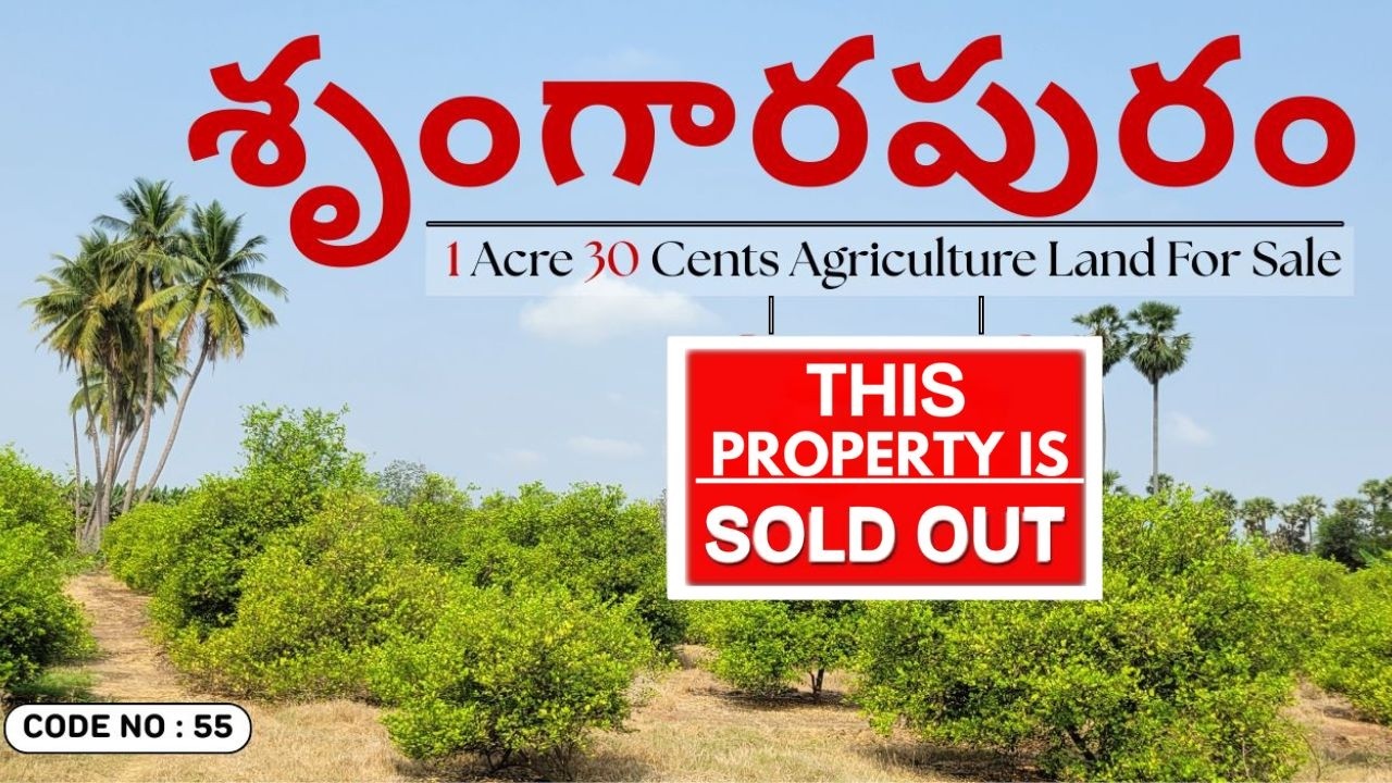 Agriculture Land For Sale In Srungarapuram | Srungarapuram Land For Sale | AgricultureLand For Sale