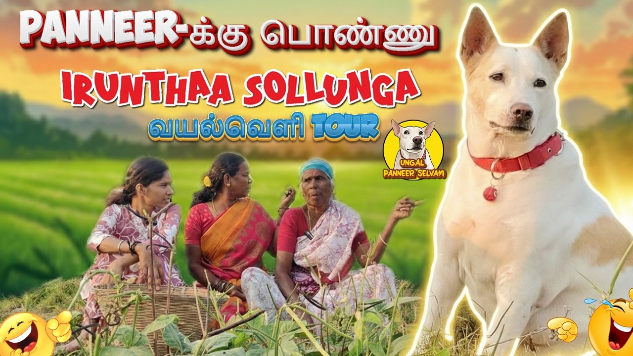 😂💥பன்னீரும் Village Patties-ம் வயல்வெளி TOUR 😂🌾 | Tamil Village Vlog #2026 #pets #village 