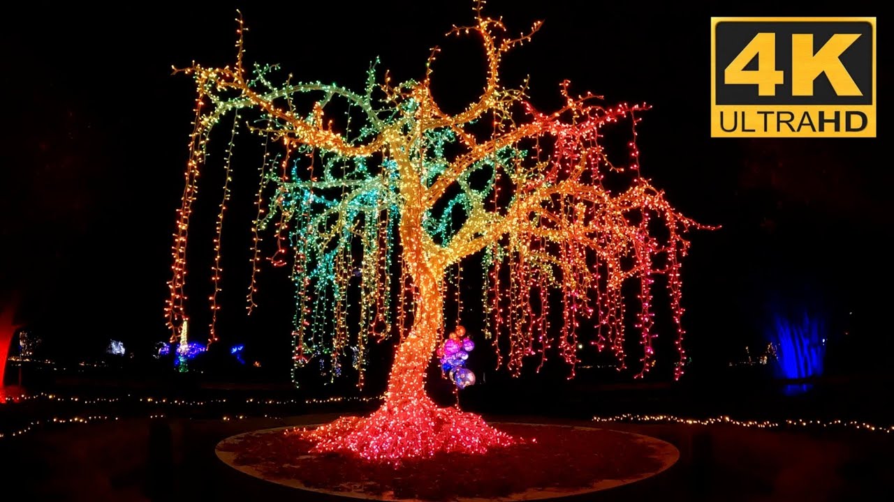 MAGICZNY BOTANICZNY 2025 ✨ OGRÓD ŚWIATEŁ ✨ WARSZAWA ✨ GoPro 4K
