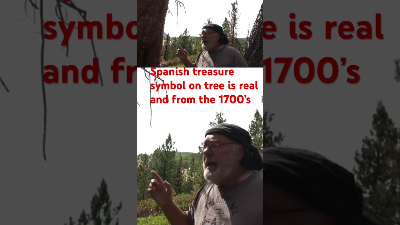 Spanish treasure symbol carved on tree is real and from the 1700&rsquo;s