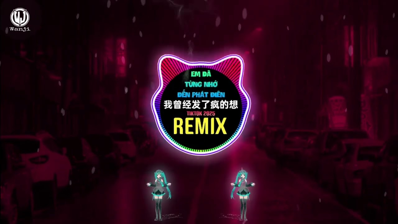 燕宝儿 - 我曾经发了疯的想 (DJ抖音版) Em Đã Từng Nhớ Đến Phát Điên (Remix Tiktok) - Yên Bảo Nhi || Douyin 2025