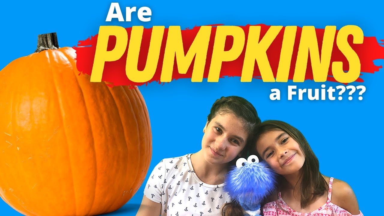 Are PUMPKINS a Fruit? | Pumpkin Facts For Kids