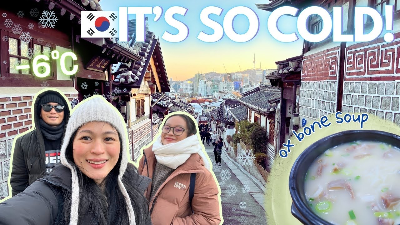 IT'S FREEZING IN SEOUL! 🇰🇷Jogyesa Temple,  Insadong, Bukchon Hanok, Starfield Library + ox bone soup