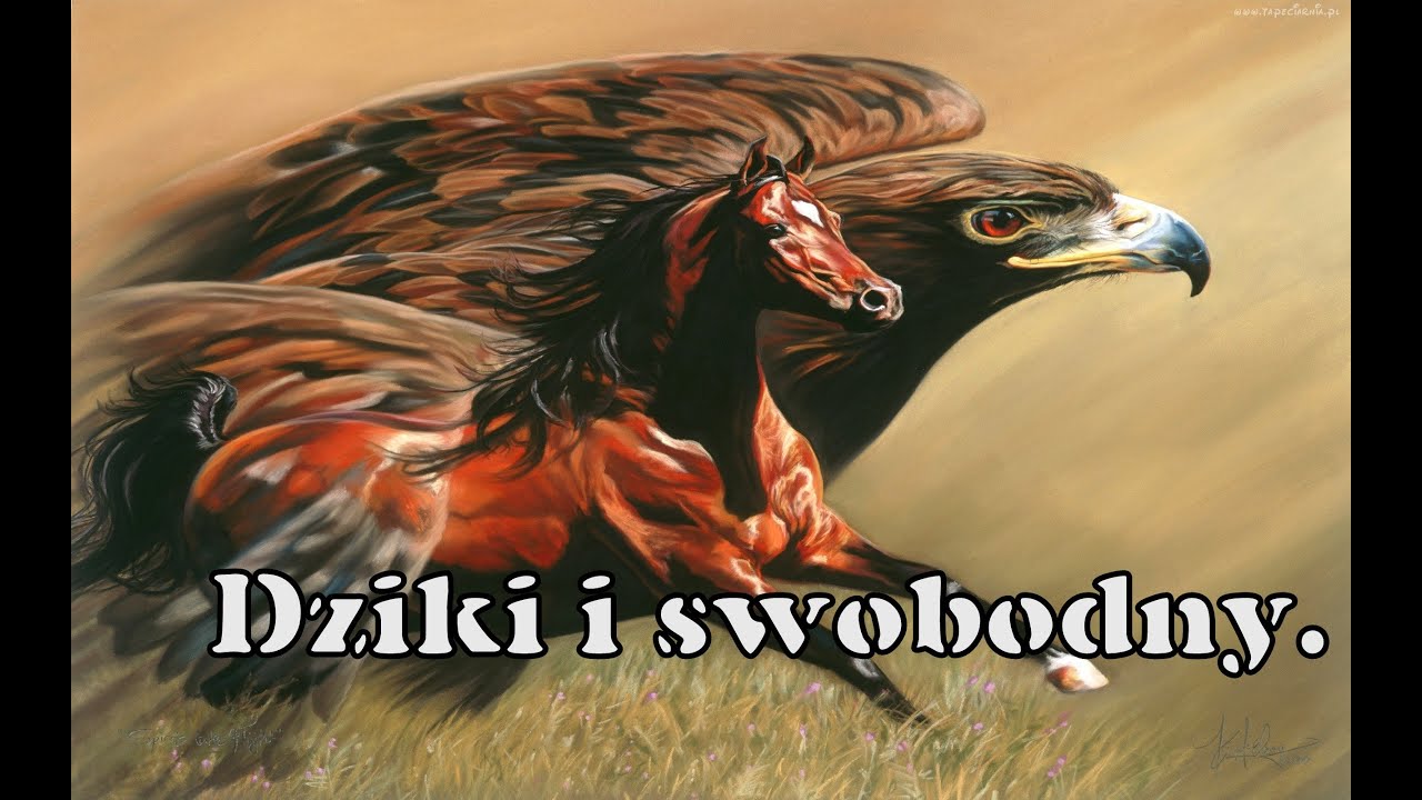 Zayazd - Dziki i swobodny.