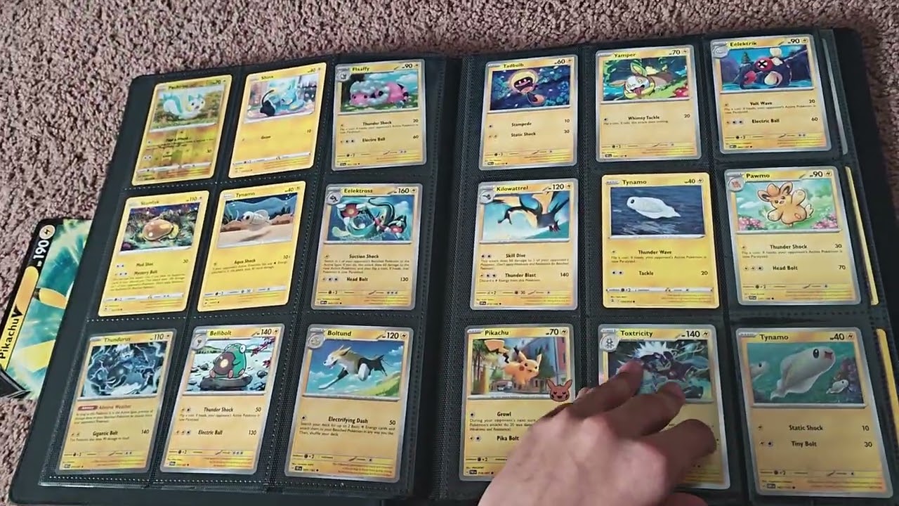My Pokemon binder