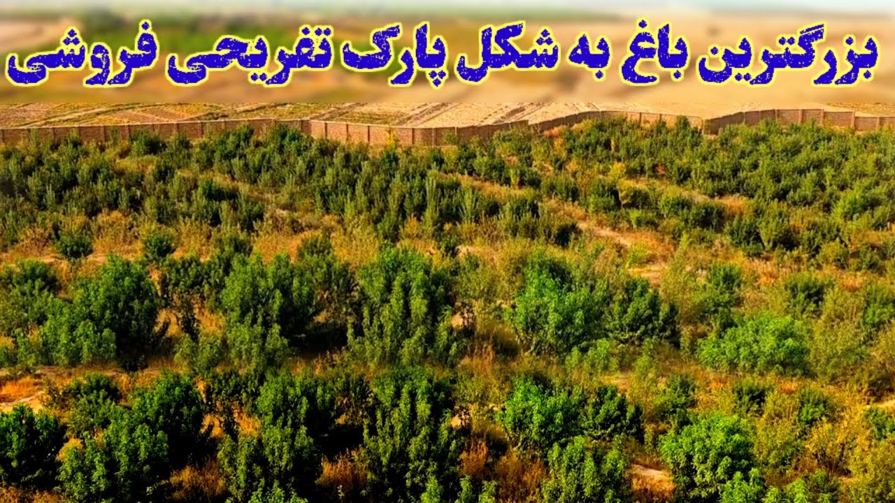 باغ بزرگ. به شکل پارک تفریحی فروشی به قیمت مناسب..