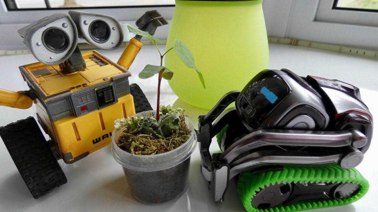 Cozmo meets Wall-E