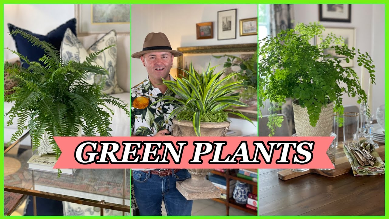 INTERIOR DESIGN / Decorating With Plants Inside The House /  Ramon At Home
