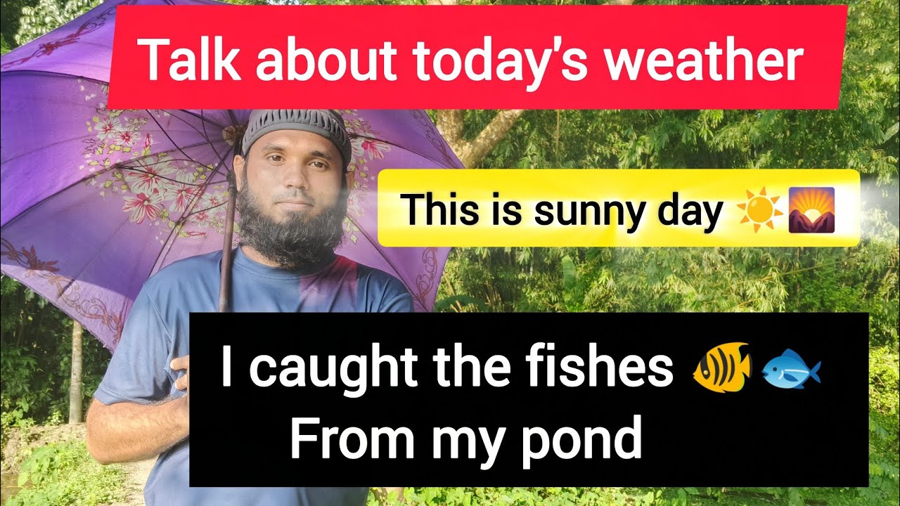 Talk about today's weather. This is sunny day. I caught the fishes from my pond.