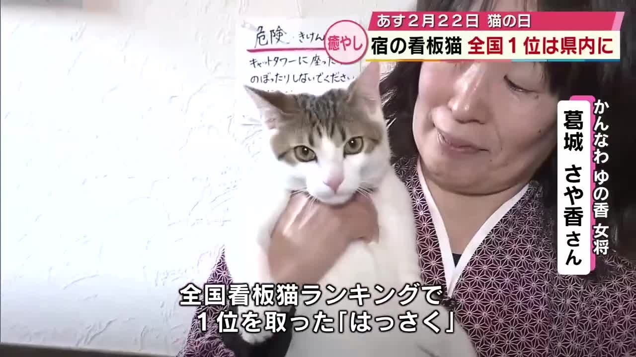 別府市の旅館の猫「全国看板猫ランキング」1位に輝く　見事な「人ったらし」ぷりで宿泊客をメロメロに