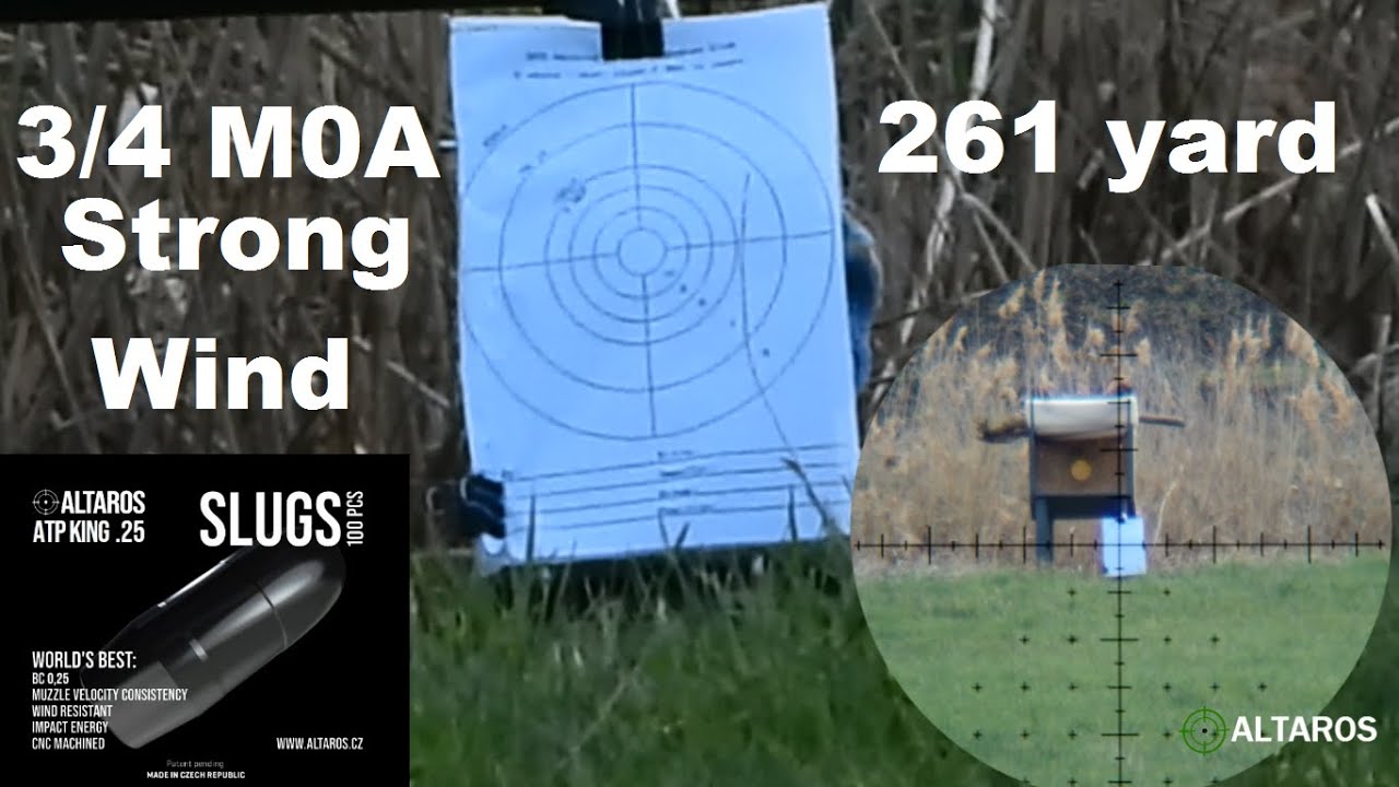 3/4 MOA, 261 yr - Airgun in Strong Wind