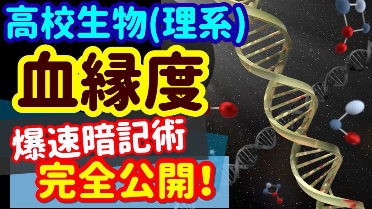 【高校生物 86】個体群【血縁度】を宇宙一わかりやすく
